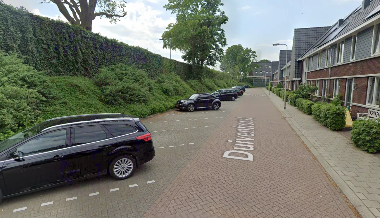 Straatbeeld van de Duivenhorst in Den Dolder, de locatie waar het incident op 2 januari 2025 plaatsvond.