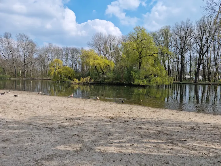 Gezicht op het Zuiderpark in Rotterdam met rietkragen langs de waterkant, de plek waar het 7-jarige slachtoffer werd meegenomen, of een buitenopname van de rechtbank in Rotterdam waar de rechtszaak diende.