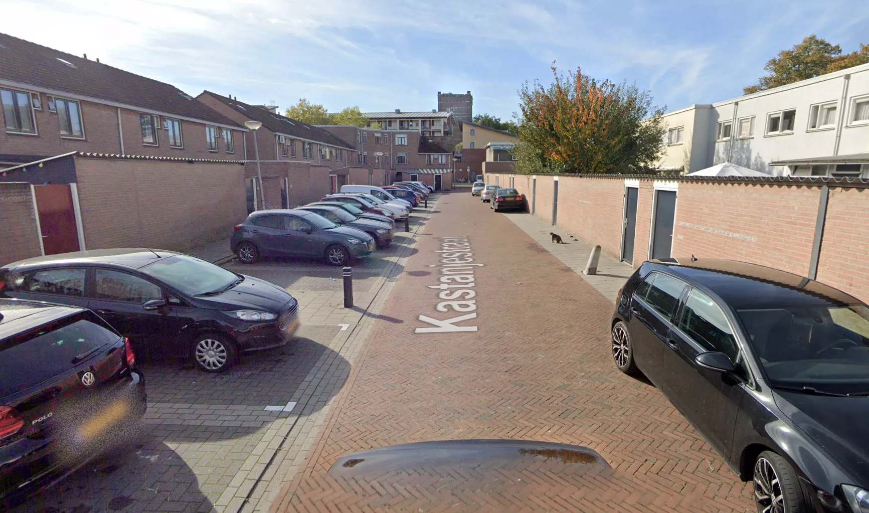 Agenten van de politie doen onderzoek naar een mogelijke schietpartij in de Kastanjestraat in Den Bosch, waarvoor inmiddels een 54-jarige man is aangehouden.