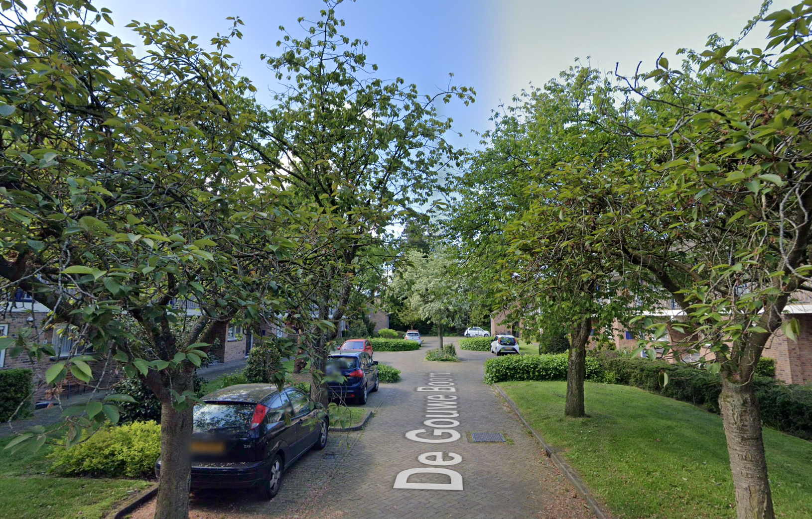 De straat De Gouwe Boom in Heiloo waar de woning van Trudy staat.