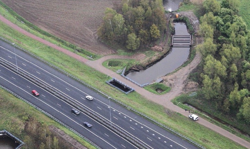 De oever van de Dommel onder het viaduct van de A2 (Eindhoven-Den Bosch) bij Liempde, de exacte vindplaats van het babylijkje in 2012.