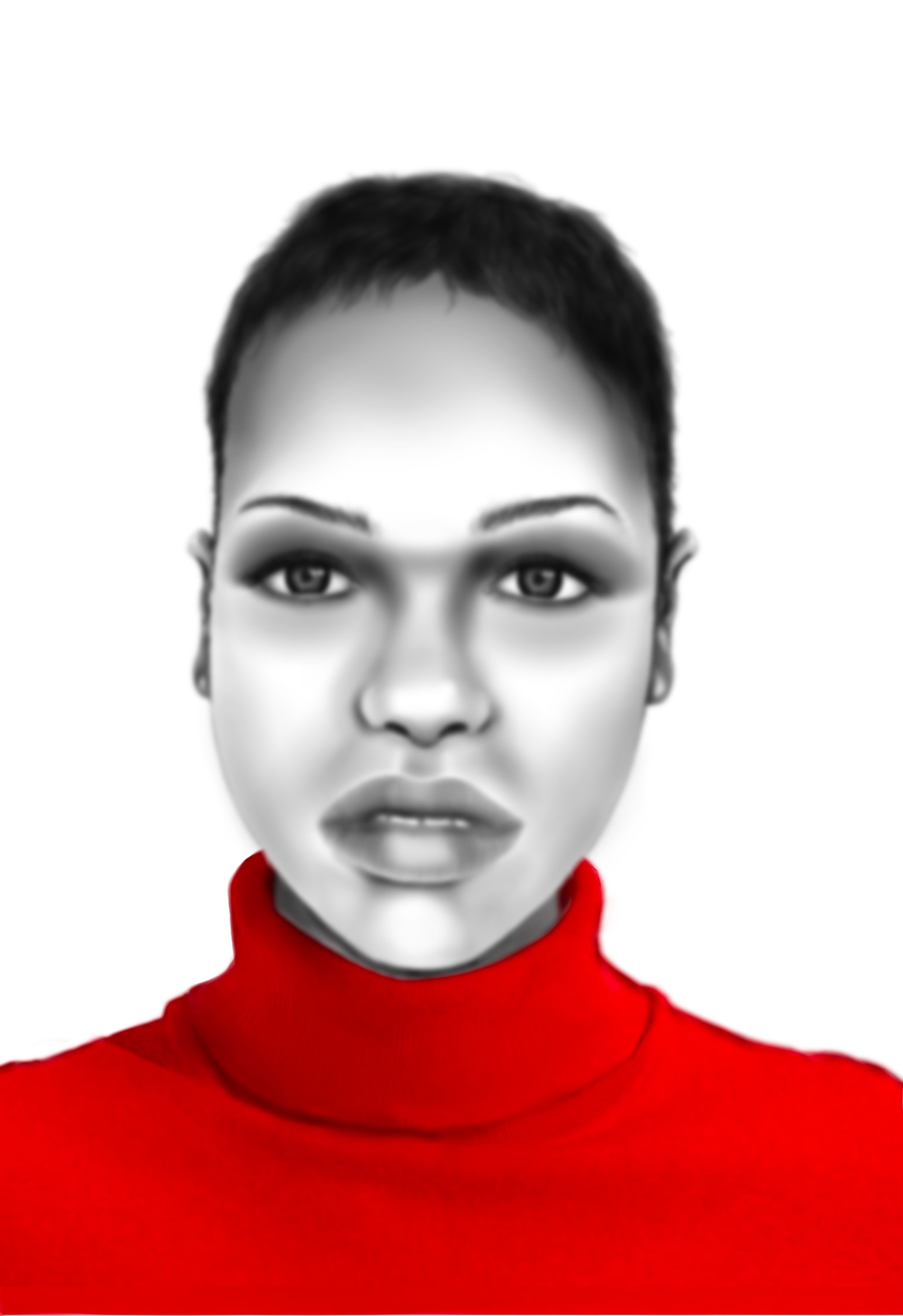 De officiele politiefoto
