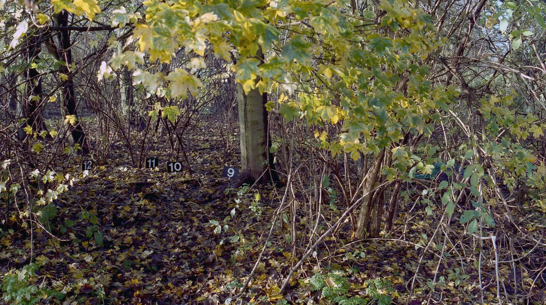Ongeïdentificeerde dode man in het Flevopark in Amsterdam (1998) - foto 3