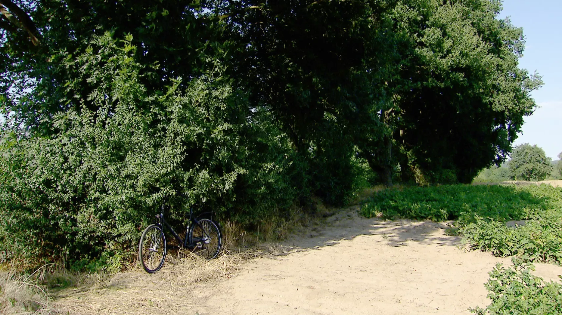 De raadselachtige moord op Xavier Durlinger (19) in Sittard: Alle feiten, verdachten en de 'kinderomerta' - foto 3