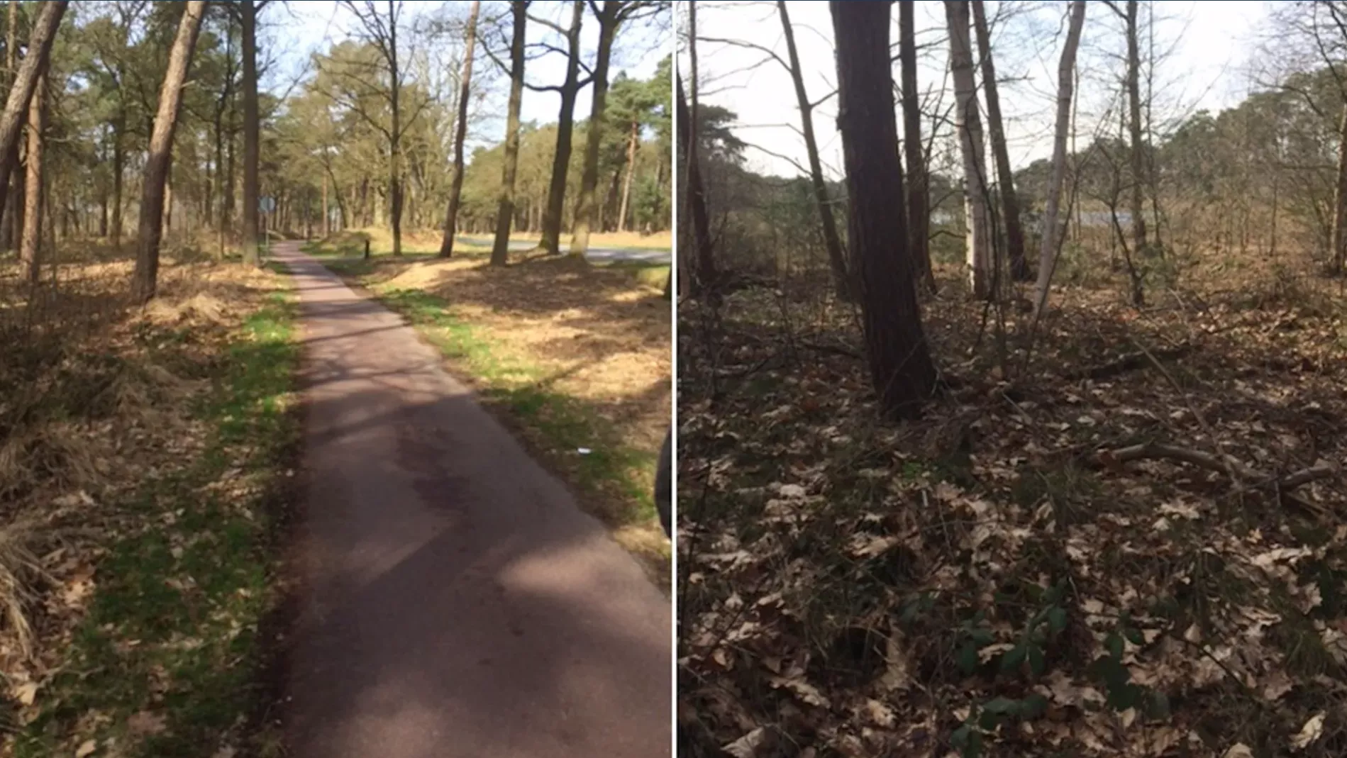 Cold Case: De onbekende serieverkrachter van Veldhoven en De Kempen (12 slachtoffers) - foto 9