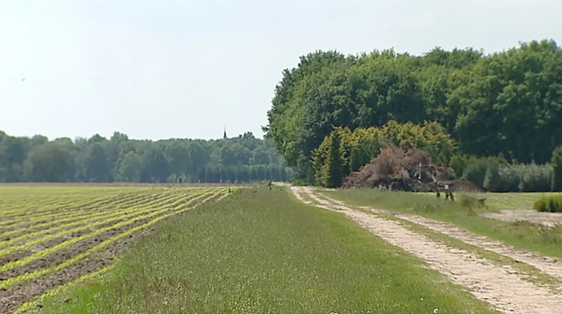 Cold Case: De onbekende serieverkrachter van Veldhoven en De Kempen (12 slachtoffers) - foto 5