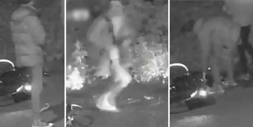 52-jarige fietser door groep kopschoppers mishandeld op Zuid-Oosterstraat in Tilburg: politie zoekt verdachten - foto 2