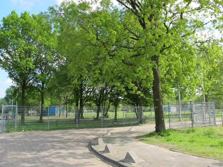 Cold Case: De moord op de 34-jarige Jody in Amsterdam Nieuw-West (VIDEO) - foto 1
