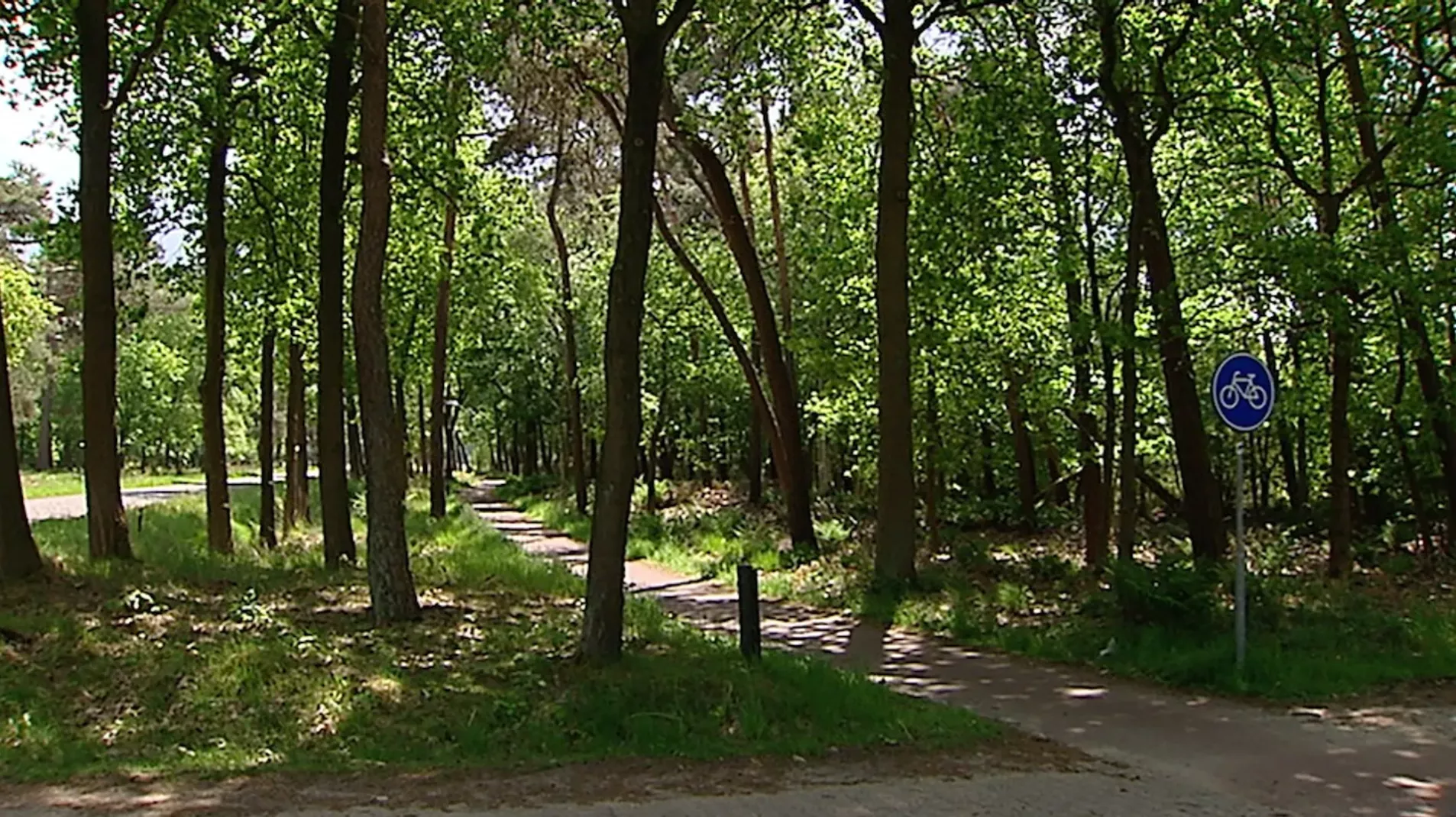 Cold Case: De onbekende serieverkrachter van Veldhoven en De Kempen (12 slachtoffers) - foto 6