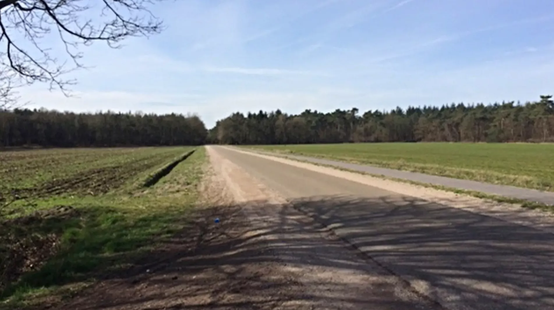 Cold Case: De onbekende serieverkrachter van Veldhoven en De Kempen (12 slachtoffers) - foto 7