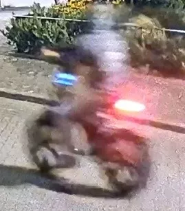 Politie zoekt vermoedelijk minderjarige schutter op fatbike na schietincident aan Havenpoort in Nieuw-Vennep - foto 2