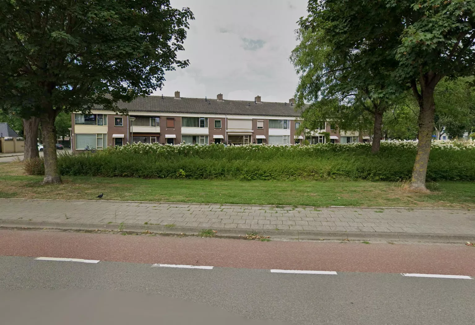 Met linten afge zette straat in Eindhoven met politievoertuigen en hulpdiensten na het aantreffen van een gewonde man.