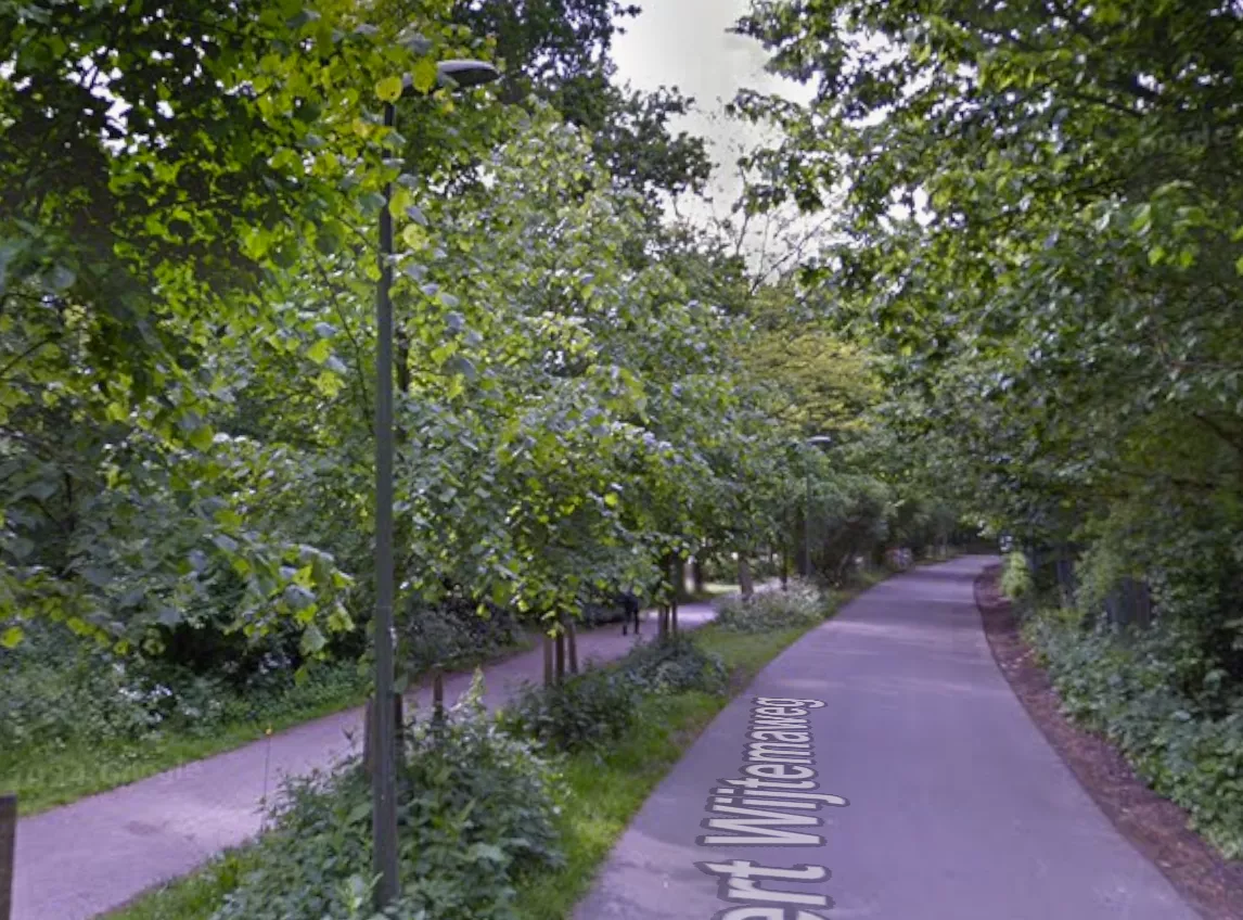 De bospaden en begroeiing van de Bosjes van Pex in Den Haag, waar de 13-jarige jongen maandagavond werd mishandeld.