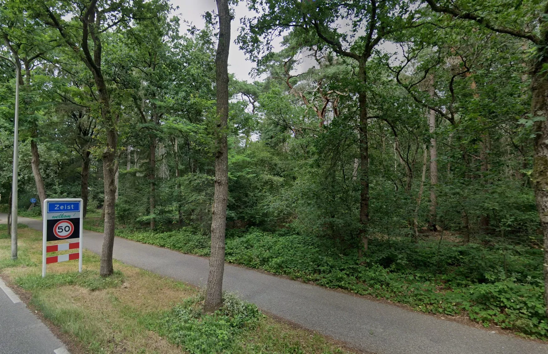 Het Zeisterbos in Zeist waar in augustus 2025 een gewelddadige verkrachting en meerdere pogingen plaatsvonden.