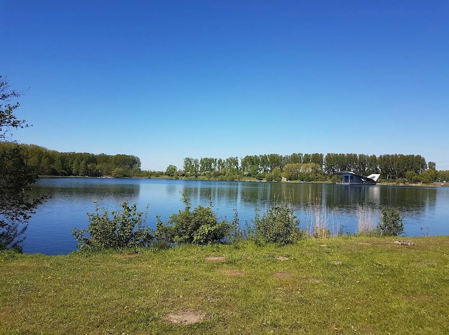 Het bosrijke gebied en de paden in het Haarlemmermeerse Bos waar het onderzoek plaatsvond.